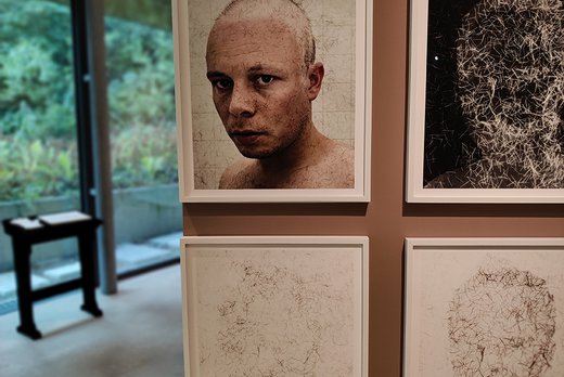 Perskit - Kwaadaardig mooi