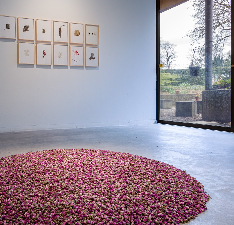 Detail uit herman de vries * vergaan in de Grote Zaal van Museum Tot Zover