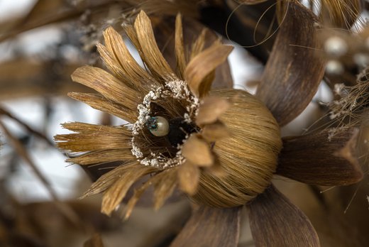 Perskit - Haarboeket familie De Hoog