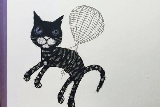 Dat is heel wat voor een kat