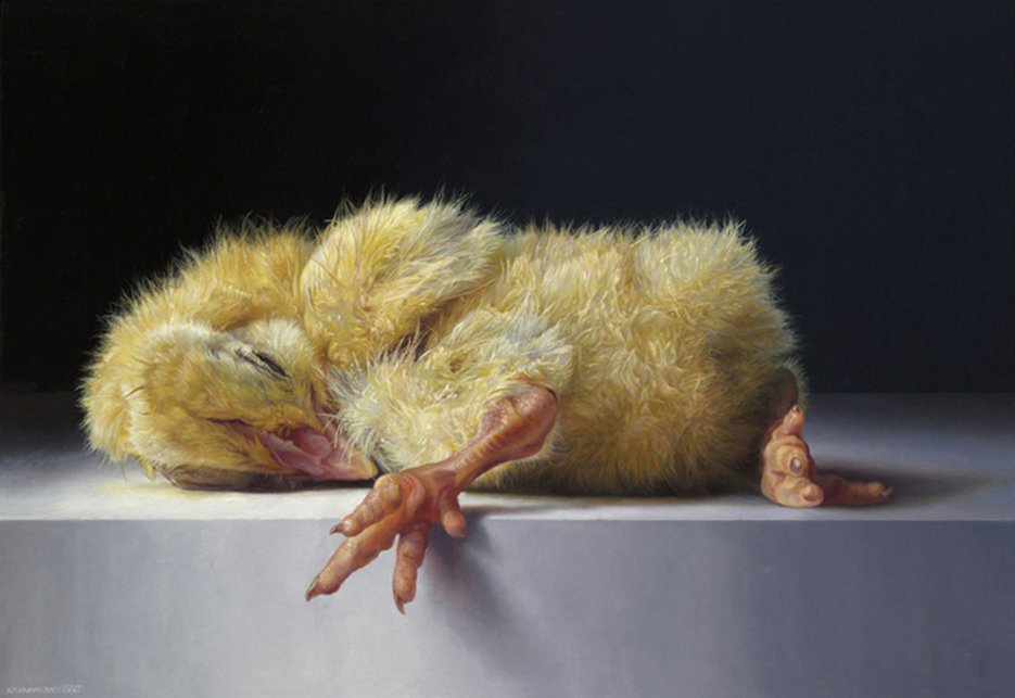 Adriana van Zoest, Eendagskuiken, 2015, olie op paneel, 55x80cm (onderdeel van tentoonstelling De Laatste Aai – eerbetoon aan dode dieren).